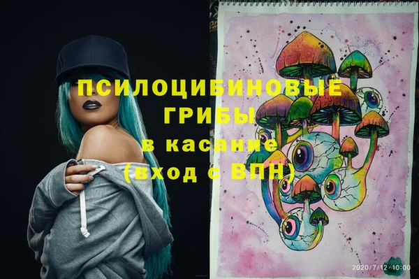 прущие грибы Белокуриха