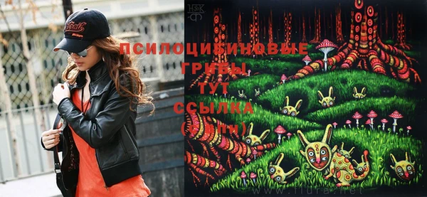 прущие грибы Белокуриха