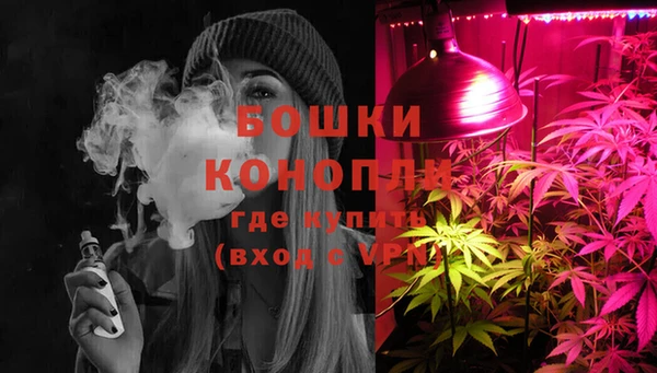 бошки Пересвет