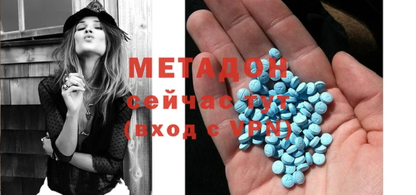 прущие грибы Белокуриха