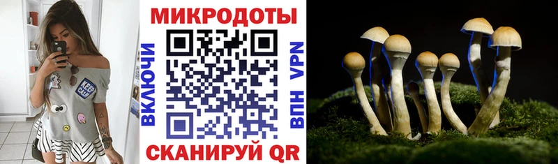 Псилоцибиновые грибы Psilocybine cubensis Николаевск-на-Амуре